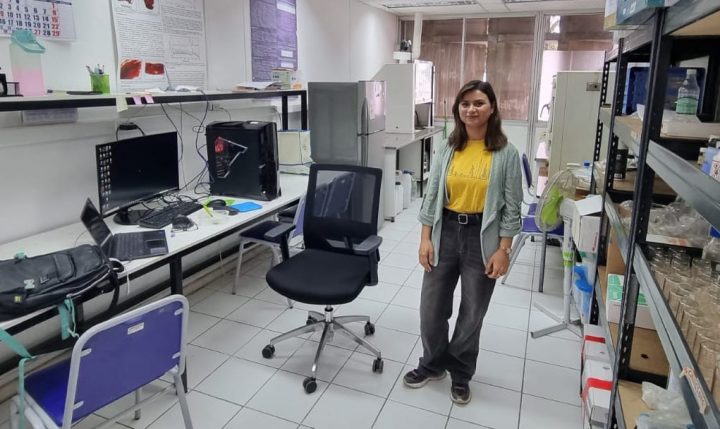 Científica desarrolla tecnología solar para recuperar oro y plata desde residuos electrónicos