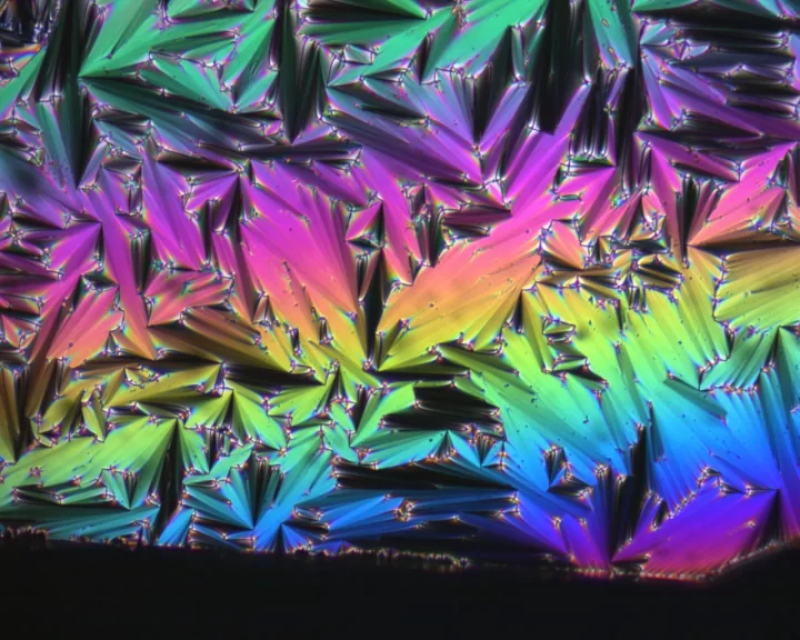 Otras de las imagenes microscópica obtenida por Diego en los laboratorios de la FCQ UdeC.