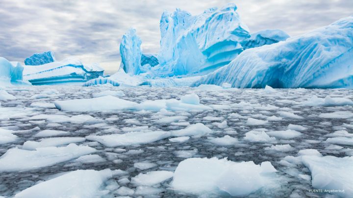 Investigan por primera vez cómo la contaminación lumínica y el calentamiento global afectan la Antártica