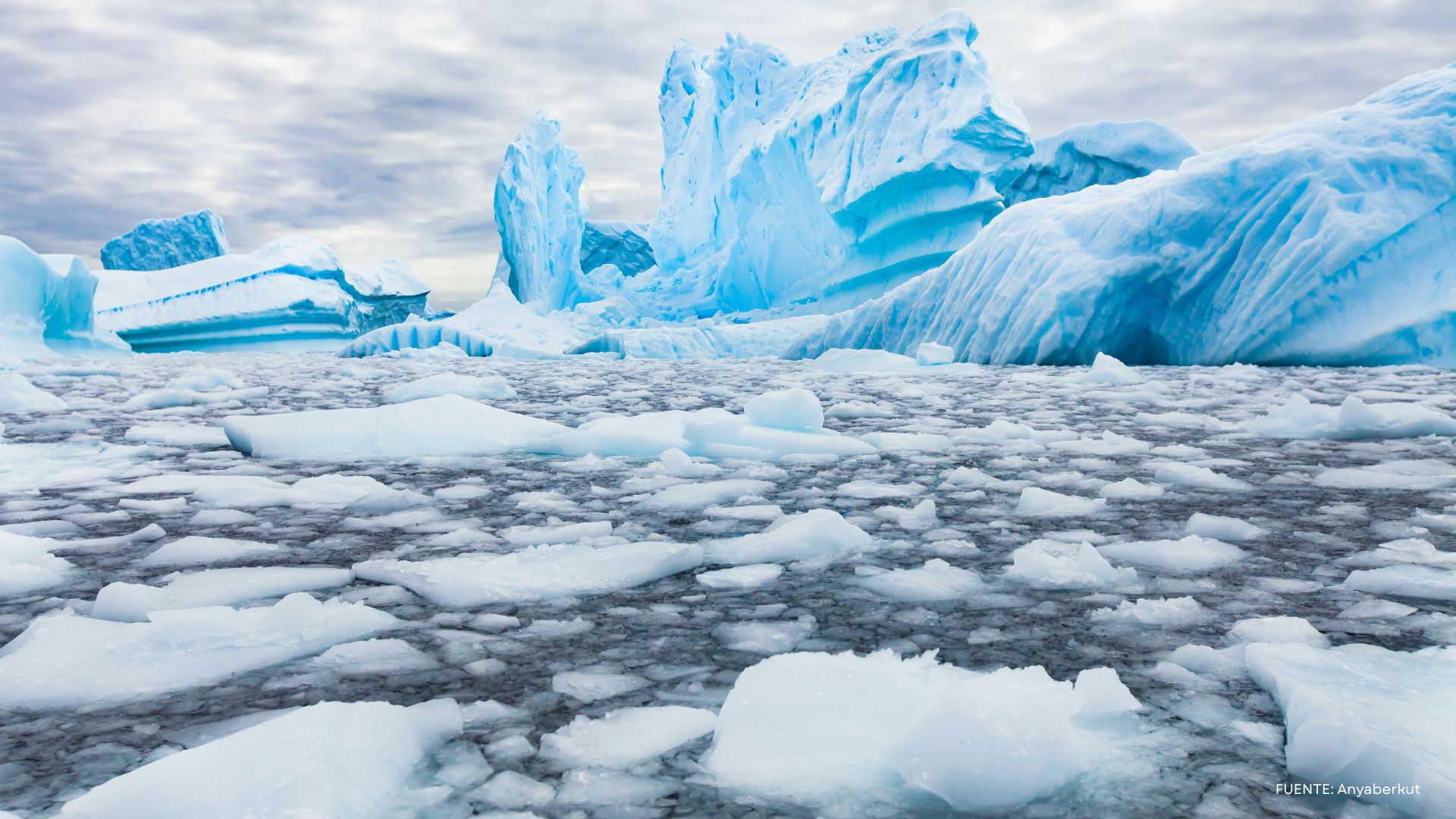 Investigan por primera vez cómo la contaminación lumínica y el calentamiento global afectan la Antártica