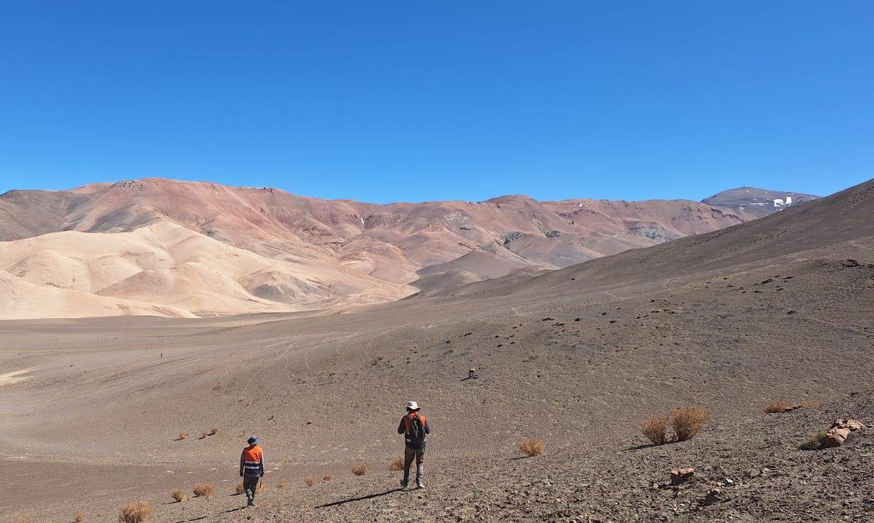 Científicos trabajan en la reconstrucción del primer ecosistema completo del Triásico en Chile