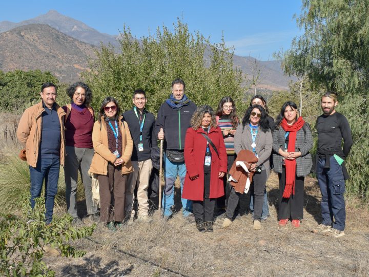 Quillota implementa huertos terapéuticos como modelo de bienestar comunitario