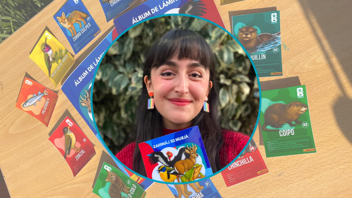 Profesora crea álbum de láminas con 38 especies de fauna nativa chilena