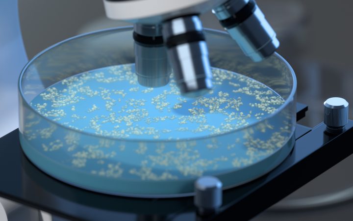 Científicos chilenos buscan crear materiales de construcción con hongos y bacterias