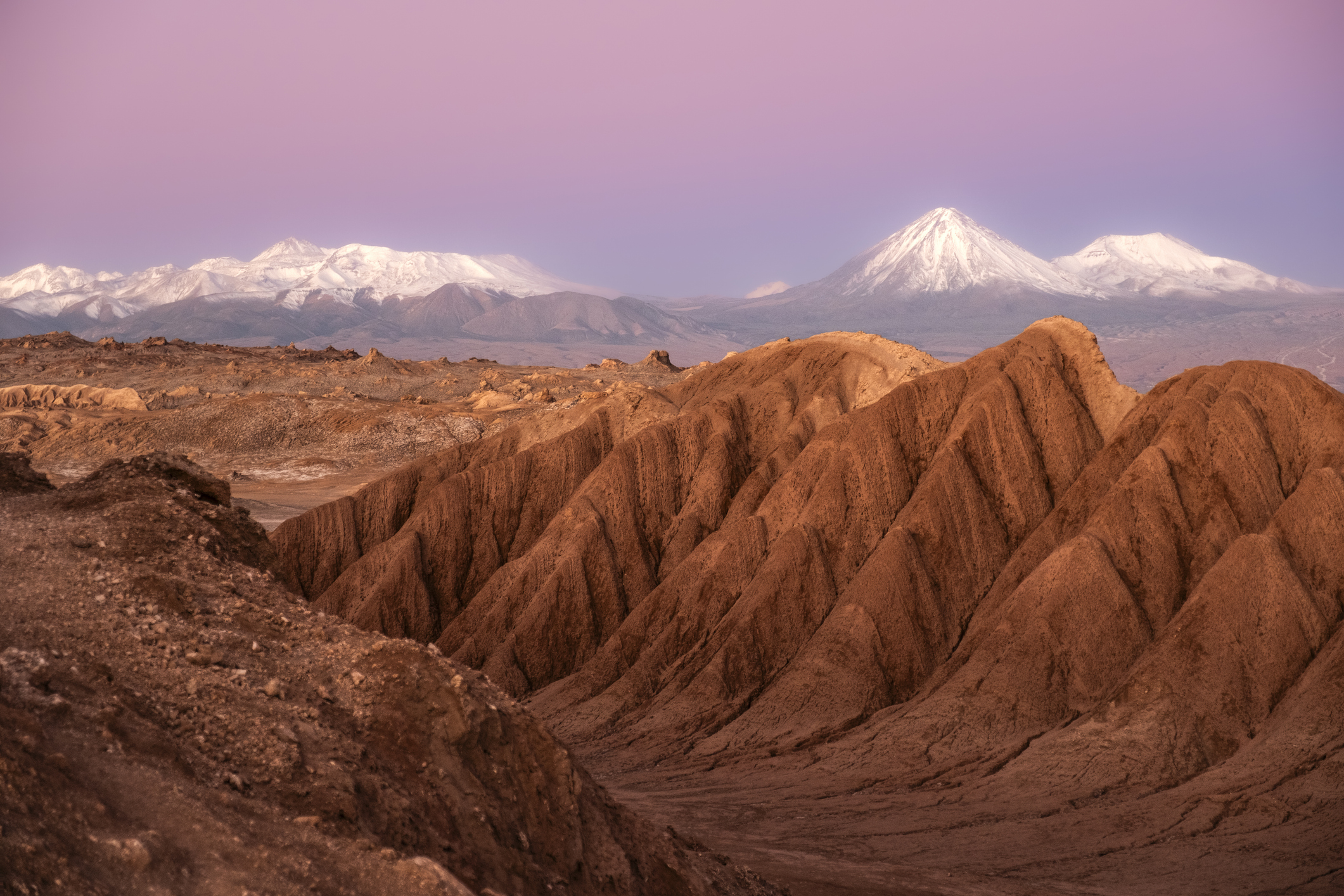 Científicos descubren en el Desierto de Atacama una enzima capaz de degradar plásticos