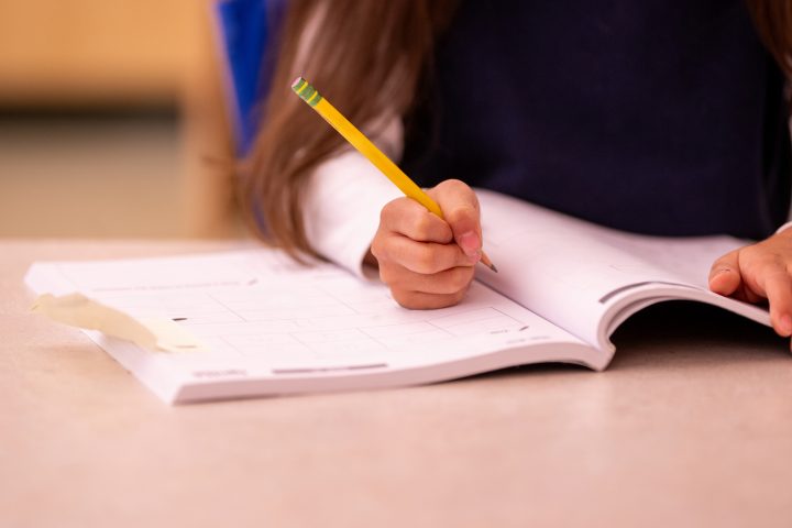 Datos escolares en Chile podrían ayudar a detectar tempranamente la esquizofrenia