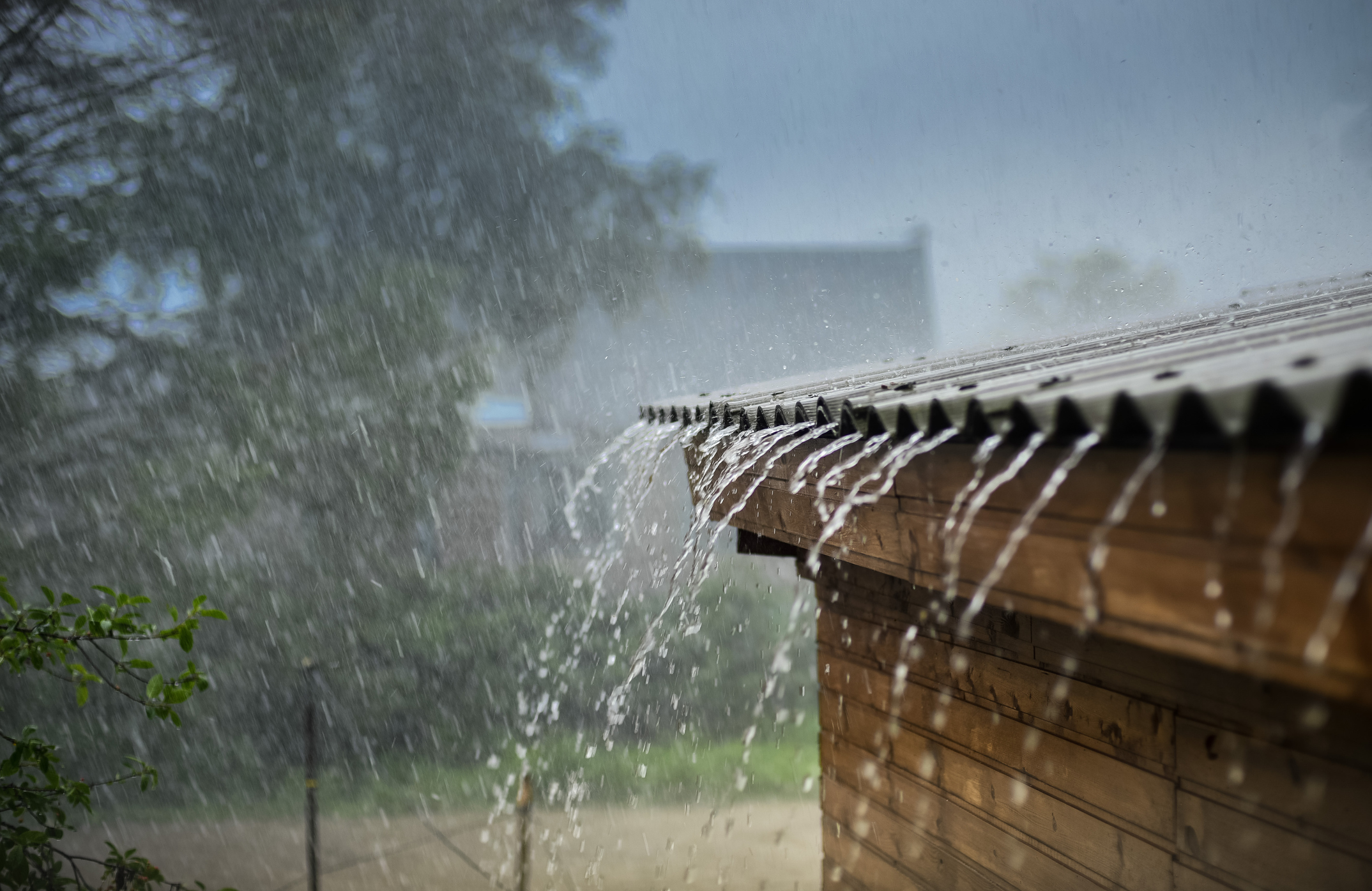 Alerta por precipitaciones: Advierten sobre riesgos de inundaciones y marejadas en la zona central