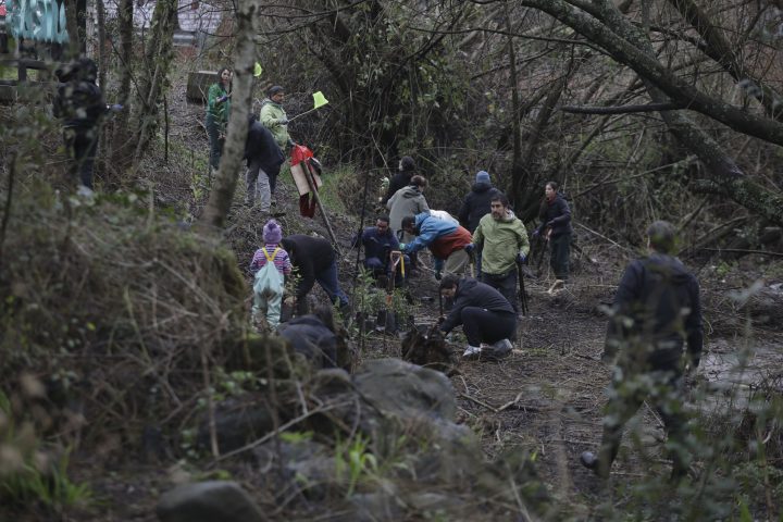 UC organiza plantación masiva de árboles nativos en humedal urbano en Villarrica