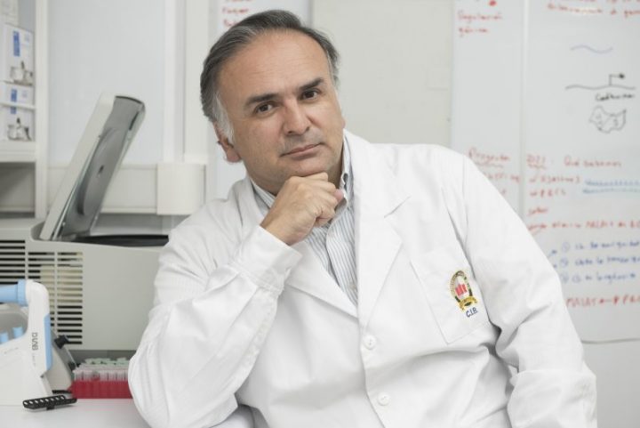 Martín Montecino: Pionero de la epigenética en Chile que postula al Premio Nacional de Ciencias Naturales