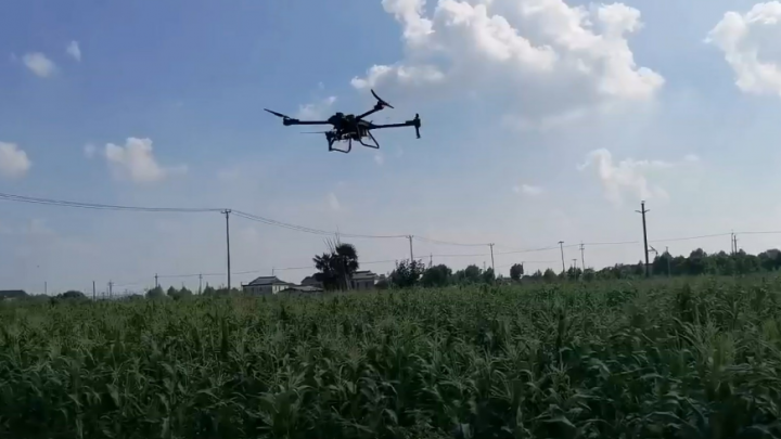 Ingeniero chileno desarrolla un sistema de drones con IA para cuidar cultivos