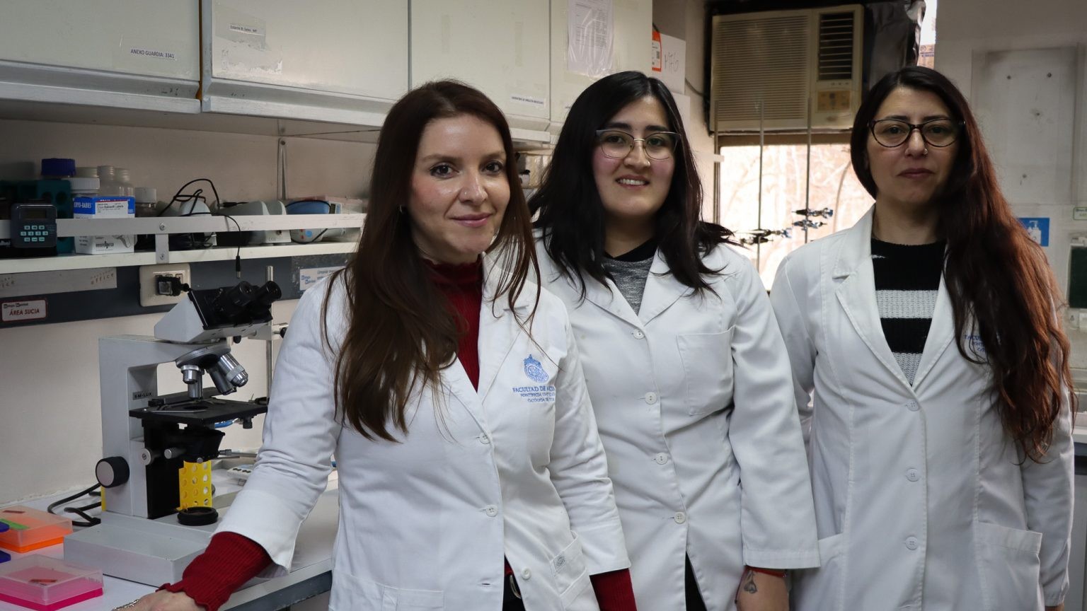 Científicas chilenas logran reconstruir la historia genética del virus Andes, causante del hantavirus