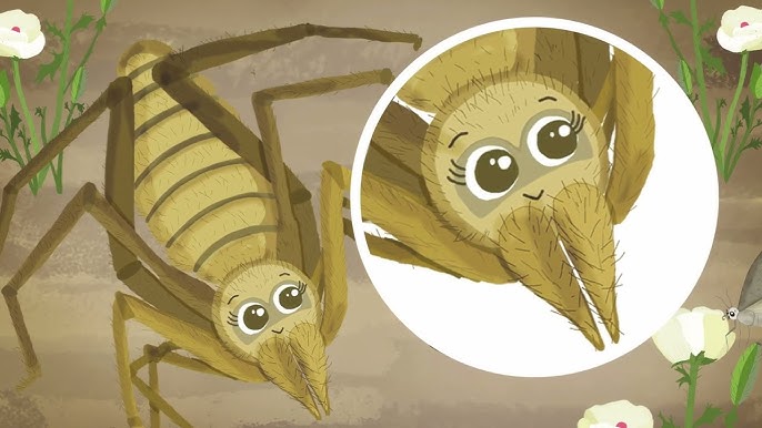Libro ilustrado busca acercar la biodiversidad del desierto florido a la niñez