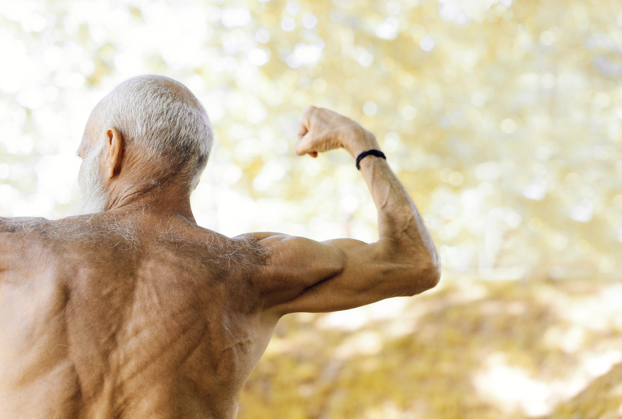 Investigación chilena descubre receptor que protege la fuerza muscular durante el envejecimiento
