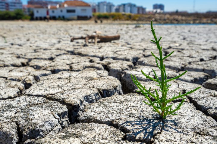 Urgencias económicas y seguridad desplazan al cambio climático entre las preocupaciones de los chilenos