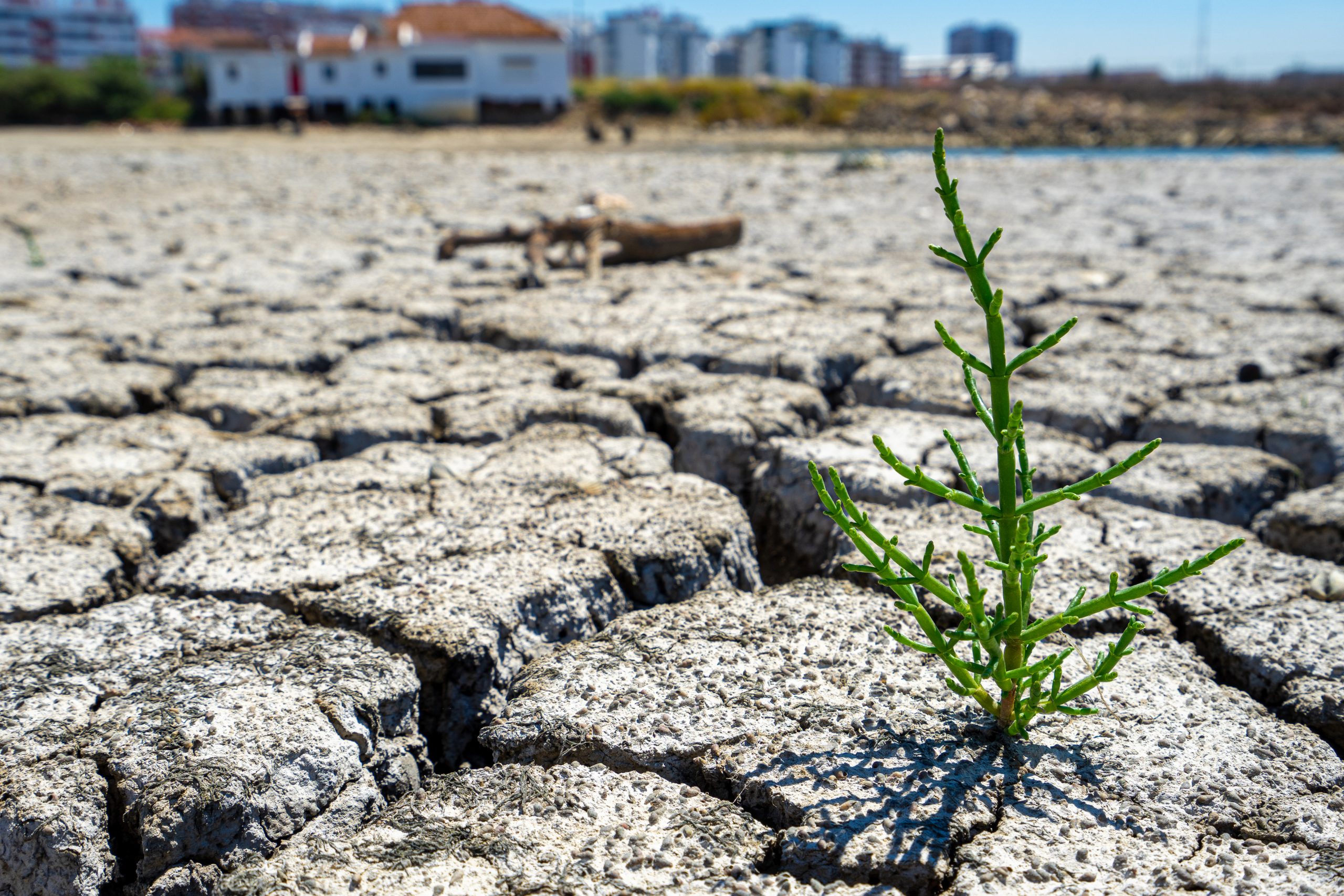 Urgencias económicas y seguridad desplazan al cambio climático entre las preocupaciones de los chilenos