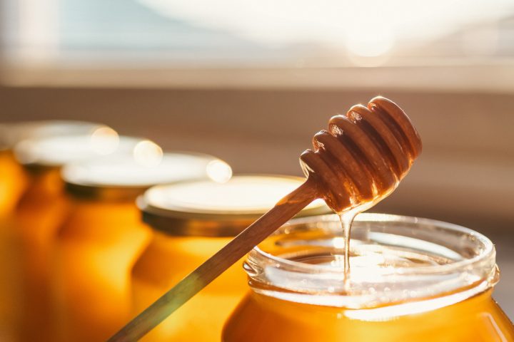 Miel chilena: El potente antibiótico natural que nace en el desierto de Atacama y Coquimbo