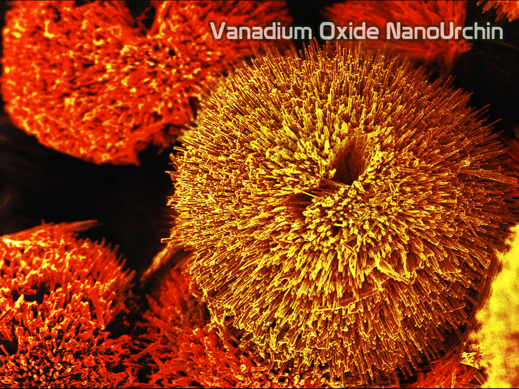 «Imágenes del nanomundo»: La muestra que recorrerá el sur a través de escuelas rurales
