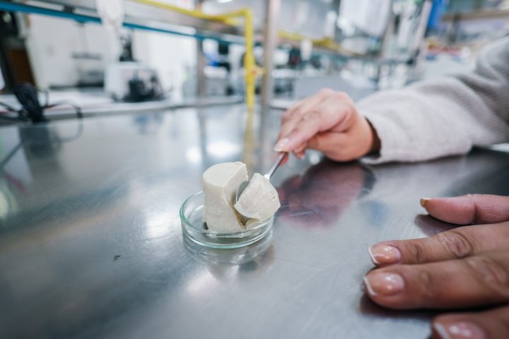 Para personas mayores: desarrollan flan alto en proteínas y fortalecido con vitamina D y omega-3