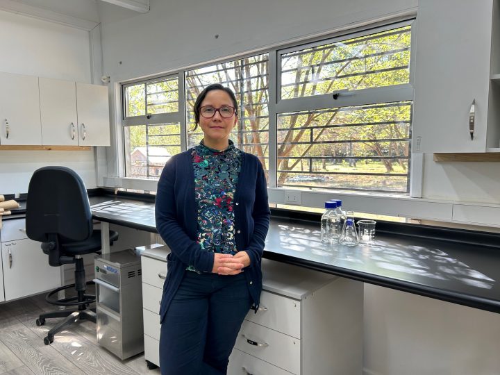 Constanza Napolitano: La investigadora que utiliza la genética para proteger a la güiña