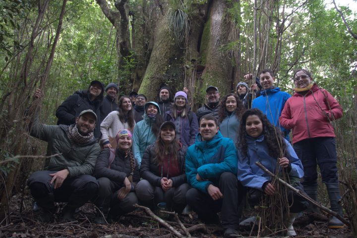 Estudiantes y profesionales participan en curso de restauración de bosques en Fiordo Comau