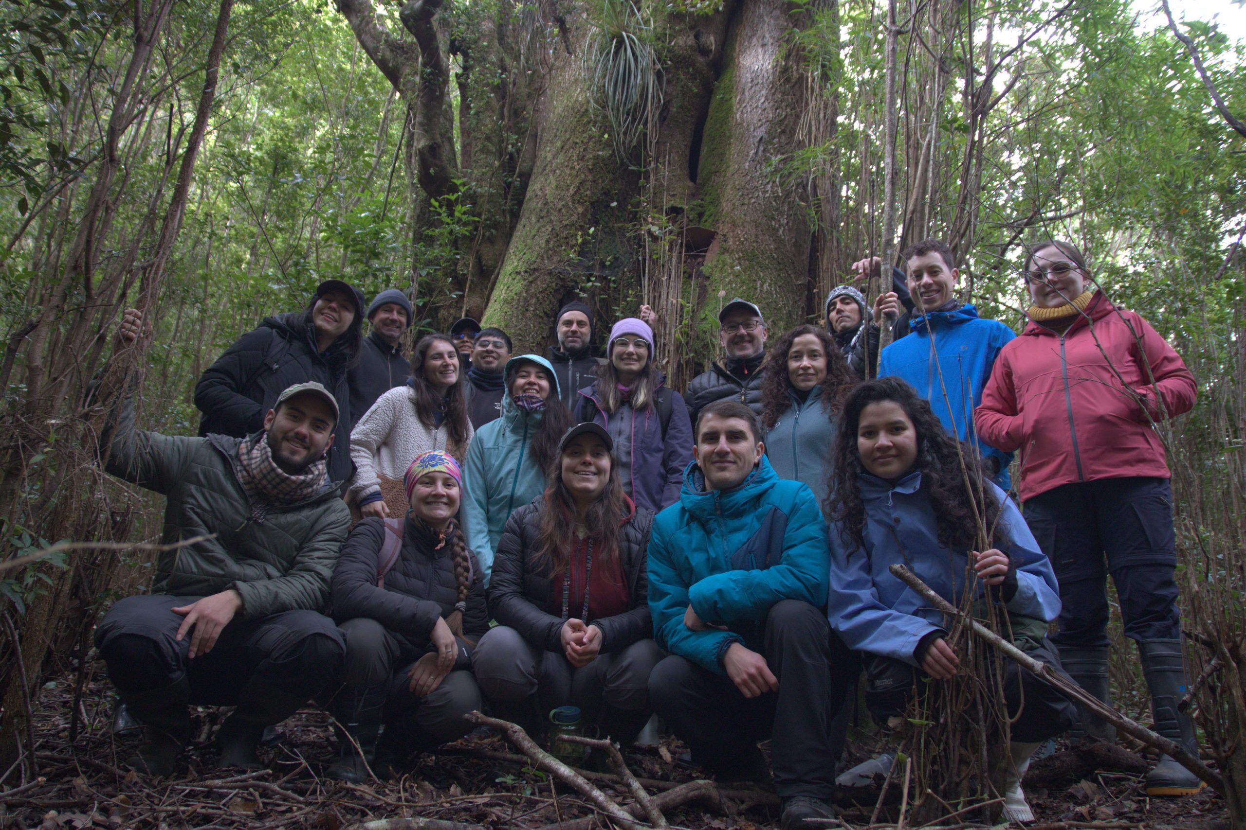 Estudiantes y profesionales participan en curso de restauración de bosques en Fiordo Comau