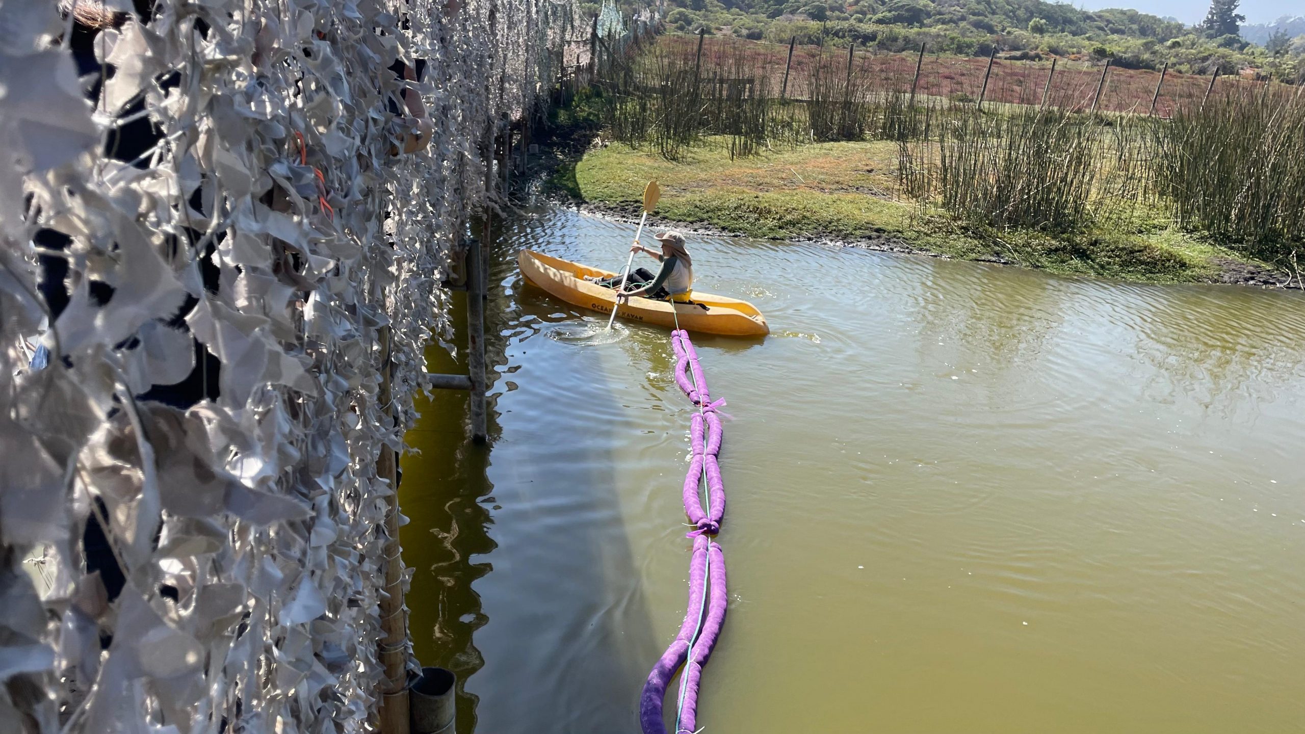 Con dispositivos hechos de pelo reciclado detectan contaminación en humedal de Mantagua