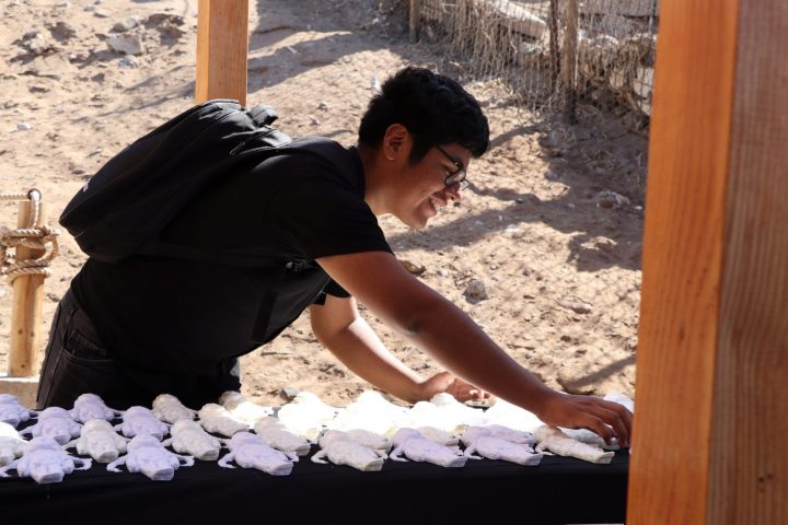 Universitarios de Arica desarrollan réplicas con impresión 3D de momias Chinchorro para uso escolar