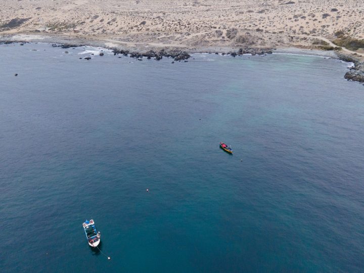 Lanzan Circuito Costero Freirina – La Higuera: La ruta birregional que une biodiversidad y patrimonio