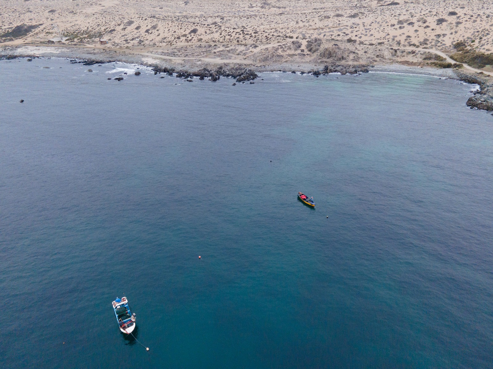 Lanzan Circuito Costero Freirina – La Higuera: La ruta birregional que une biodiversidad y patrimonio
