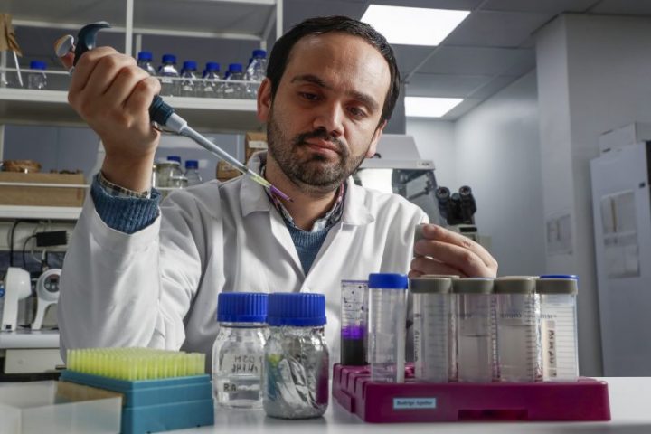 Científicos chilenos descubren cómo desarmar una molécula clave en tumores de estómago y mama