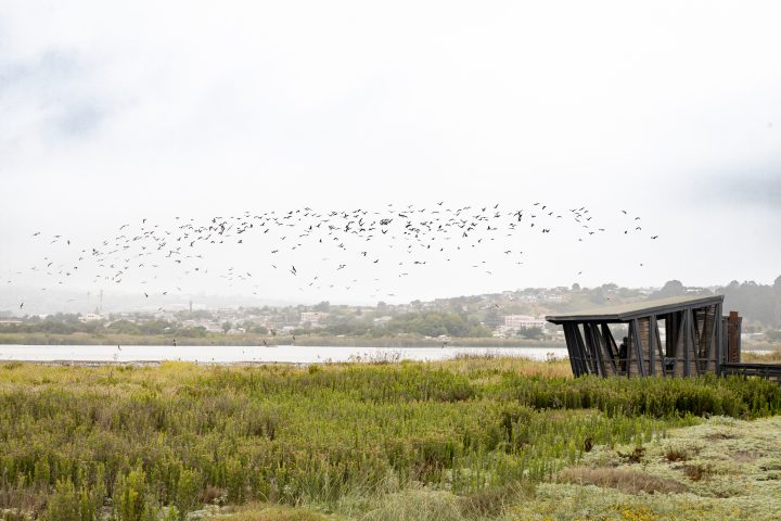 Fundación chilena es premiada en Europa por proyectos que conectan salud, conservación y naturaleza