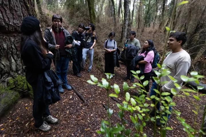 Ciencia del bienestar: Grupo interdisciplinario investigará el vínculo entre bosques y salud