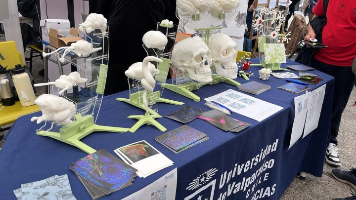 Investigadores presentan kit 3D para acercar la neurociencia durante congreso FALAN