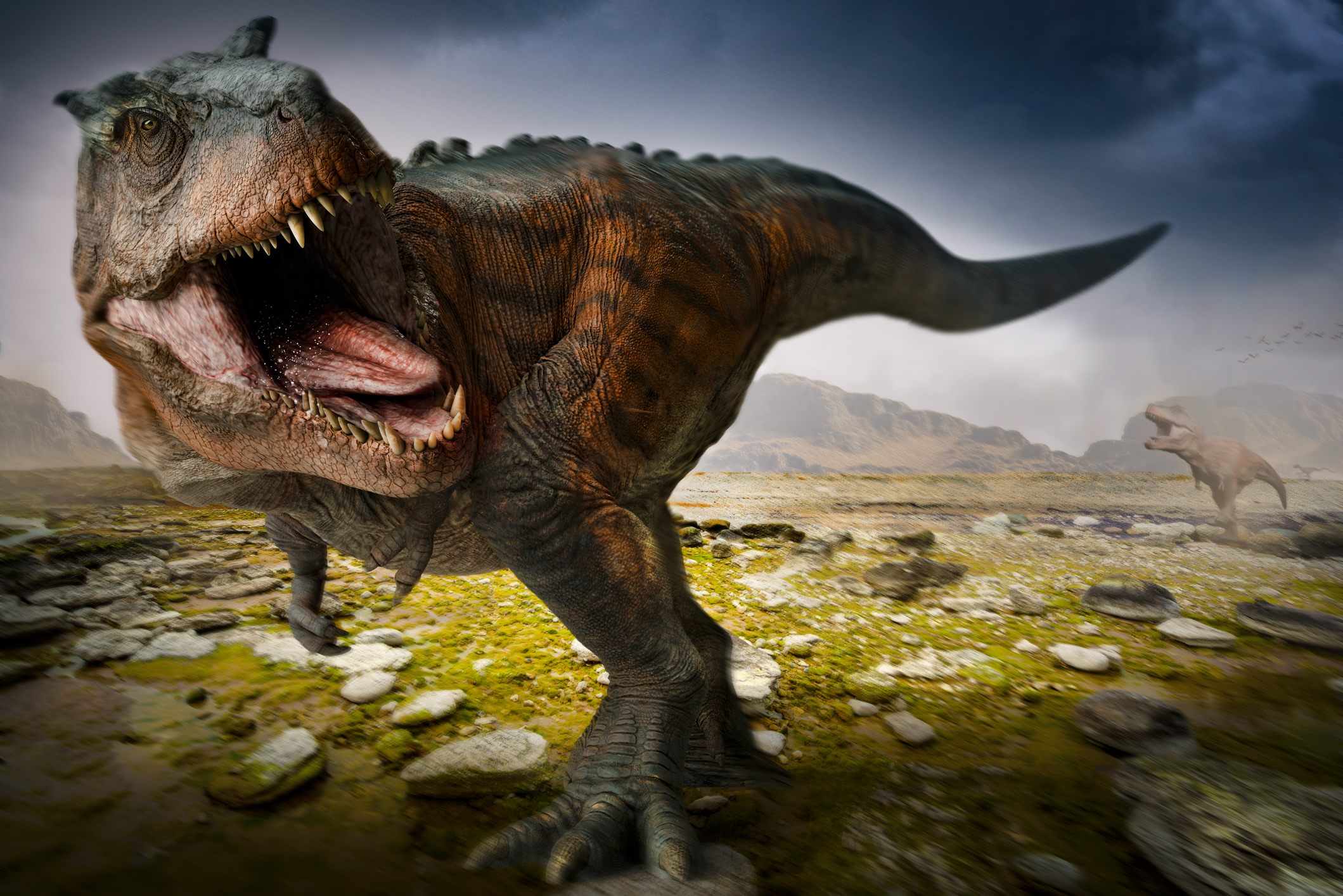 Tyrannosaurus rex era de sangre caliente: estudio revela temperatura corporal por sus dientes