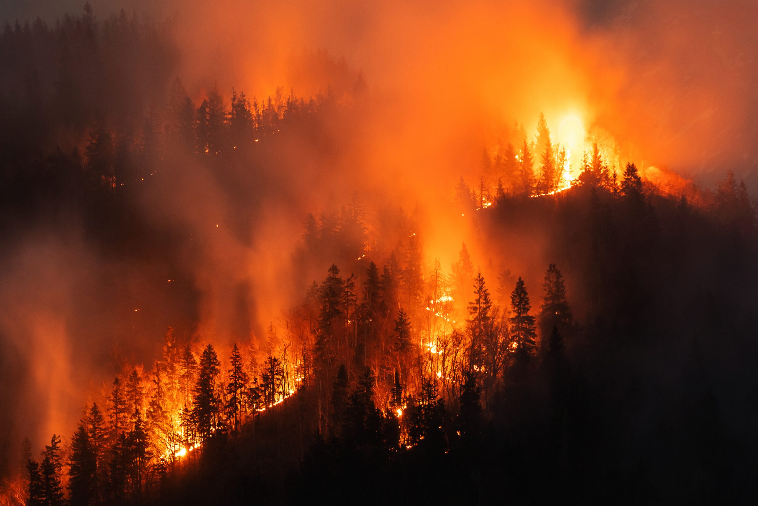 Estudio advierte el impacto del cambio climático en el megaincendio de Viña del Mar en 2024