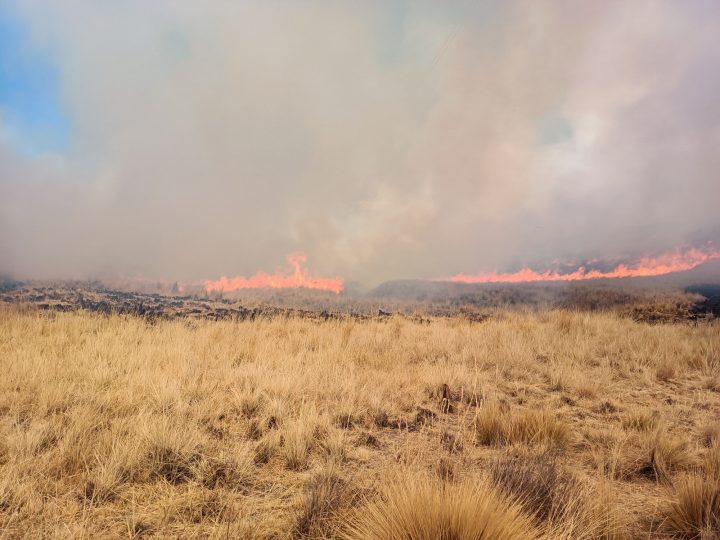 Investigación revela que humo de incendios forestales aumenta hospitalizaciones respiratorias en lactantes
