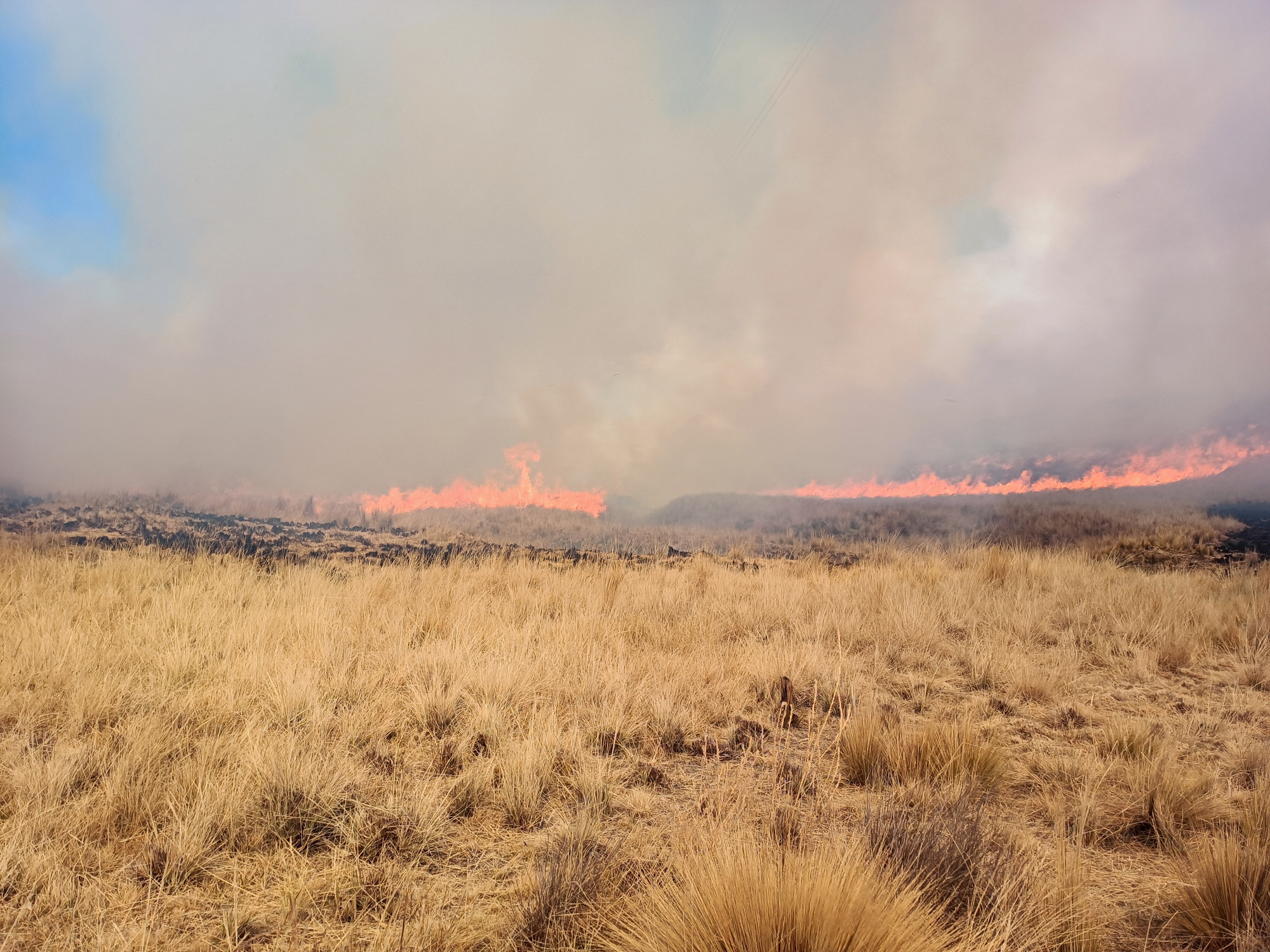 Investigación revela que humo de incendios forestales aumenta hospitalizaciones respiratorias en lactantes