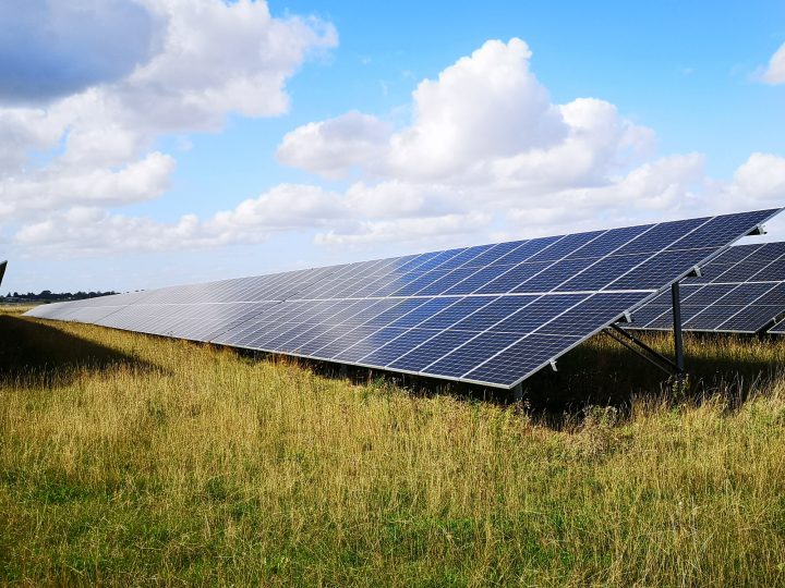 Proyecto busca transformar paneles solares en desuso en fertilizantes
