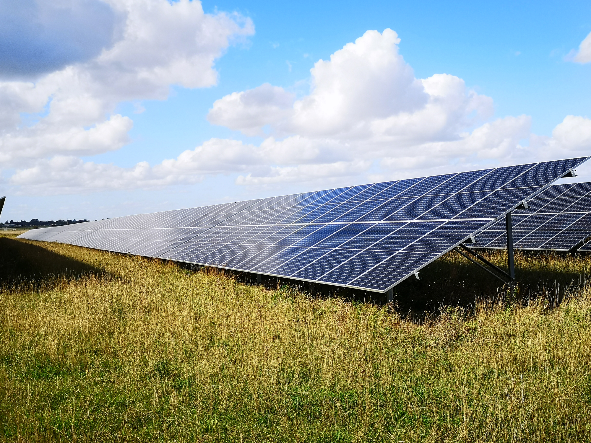 Proyecto busca transformar paneles solares en desuso en fertilizantes