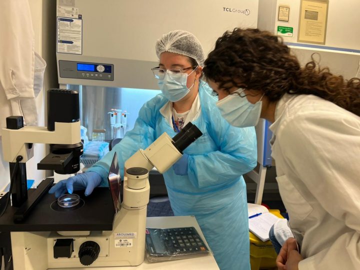 Escolar chilena llevará a México su investigación sobre una planta nativa y el cáncer