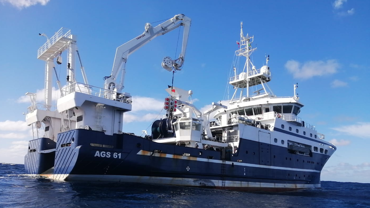 Fosa de Atacama: expedición descubrió monte submarino no mapeado
