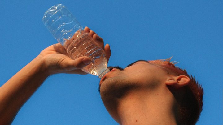 Amenaza silenciosa: Descubren cómo los microplásticos dañan al cuerpo humano