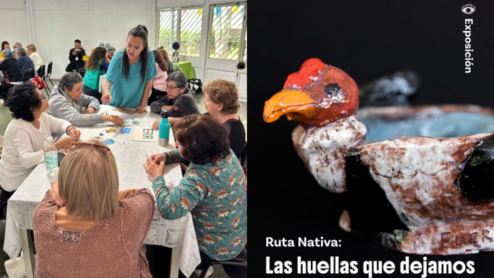 Ruta Nativa 2026 culminará con expo artística en Museo Violeta Parra