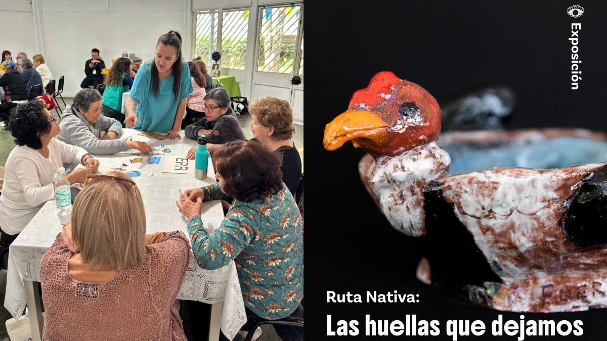 Ruta Nativa 2026 culminará con expo artística en Museo Violeta Parra