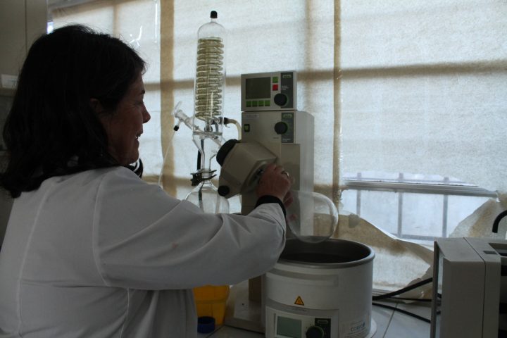 BioActiva LAB: Crean plataforma para estudiar el potencial de los recursos vegetales de Chile