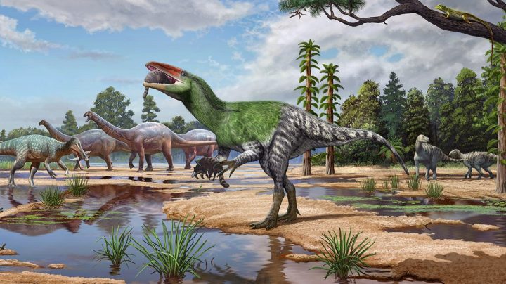 La pista de un dinosaurio desconocido estuvo olvidada 100 años en un cajón