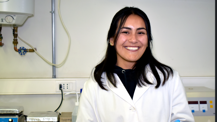 Miel de ulmo y alga nativa: Investigadora chilena desarrolla biomaterial para tratar heridas complejas