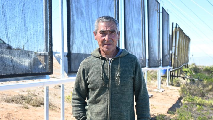 FAO reconoce a chileno como Héroe de la Alimentación 2026 por sus atrapanieblas en Coquimbo