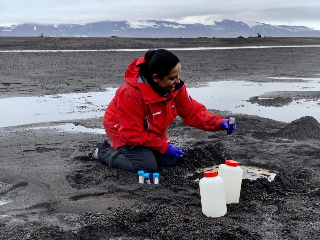 Microorganismos regeneran la vida tras la erupción volcánica en isla Decepción en la Antártica