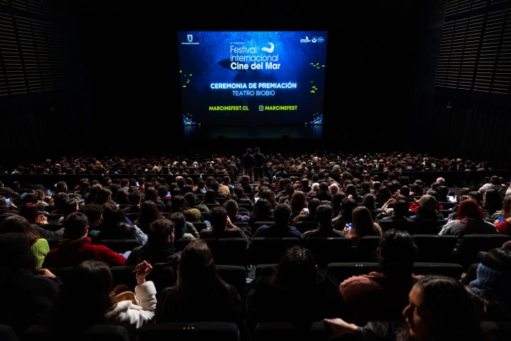 Festival de Cine del Mar llega a Antofagasta para exhibir documentales marinos ganadores